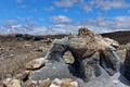 DSC00653R.jpg