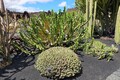 DSC00666R.jpg