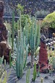 DSC00689R.jpg