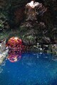 DSC00712R.jpg