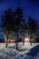 Filename=DSC03046R.jpg
Filesize=111KiB
Dimensions=427x640
Date added=Dec 28, 2015 DSC03046R.jpg