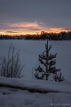 Filename=DSC03123R.jpg
Filesize=64KiB
Dimensions=427x640
Date added=Dec 28, 2015 DSC03123R.jpg
