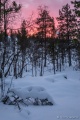 Filename=DSC03166R.jpg
Filesize=116KiB
Dimensions=427x640
Date added=Dec 28, 2015 DSC03166R.jpg