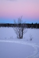 DSC03190R.jpg