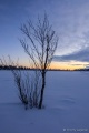 DSC03195R.jpg