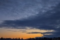 DSC03196R.jpg