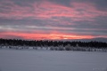 DSC03198R.jpg