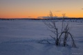 Filename=DSC03219R.jpg
Filesize=135KiB
Dimensions=960x640
Date added=Dec 28, 2015 DSC03219R.jpg