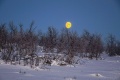 DSC03230R.jpg
