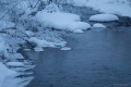 Filename=DSC03305R.jpg
Filesize=218KiB
Dimensions=960x640
Date added=Dec 28, 2015 DSC03305R.jpg