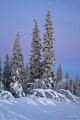 DSC03317R.JPG