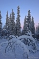 DSC03330R.JPG
