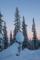 DSC03333R.jpg