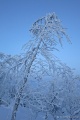 DSC03343R.JPG