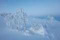 DSC03346R.jpg