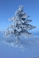 DSC03348R.JPG