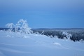 DSC03349R.JPG