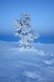 DSC03353R.JPG