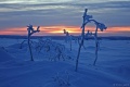 DSC03357R.JPG
