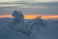DSC03359.jpg