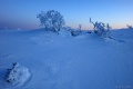 DSC03361R.JPG