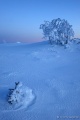 DSC03362R.JPG