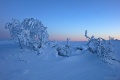 DSC03364R.JPG