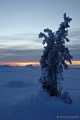 DSC03367R.JPG