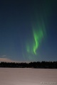 DSC03504R.JPG