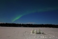 DSC03516R.JPG