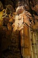 DSC00805R.jpg