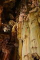 DSC00810R.jpg