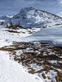 PXL_20240208_121939654R.jpg