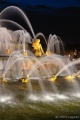 DSC01667.JPG
