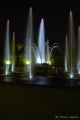 DSC01679.JPG