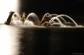 DSC01680.JPG