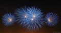 DSC01694.JPG