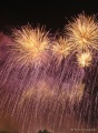 DSC01705.JPG