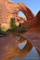 Filename=DSC02197R.JPG
Filesize=74KiB
Dimensions=320x480
Date added=May 13, 2011 DSC02197R.JPG