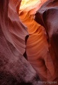 Filename=DSC02820R.JPG
Filesize=66KiB
Dimensions=331x480
Date added=May 13, 2011 DSC02820R.JPG