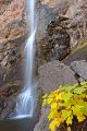Filename=DSC05288R.jpg
Filesize=205KiB
Dimensions=320x480
Date added=Nov 01, 2007 DSC05288R.jpg
