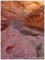 Filename=crack_canyon2.JPG
Filesize=80KiB
Dimensions=368x480
Date added=Jan 08, 2006 crack_canyon2.JPG