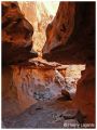 Filename=crack_canyon3.JPG
Filesize=77KiB
Dimensions=368x480
Date added=Jan 08, 2006 crack_canyon3.JPG