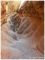 Filename=little_wild1.JPG
Filesize=70KiB
Dimensions=368x480
Date added=Jan 08, 2006 little_wild1.JPG