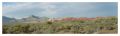 Filename=redrock1.jpg
Filesize=57KiB
Dimensions=830x254
Date added=Jan 08, 2006 redrock1.jpg