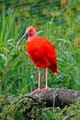 DSC00303R.jpg