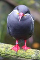 DSC00305R.jpg