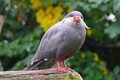 DSC00306R.jpg