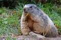 DSC00321R.jpg