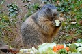 DSC00325R.jpg